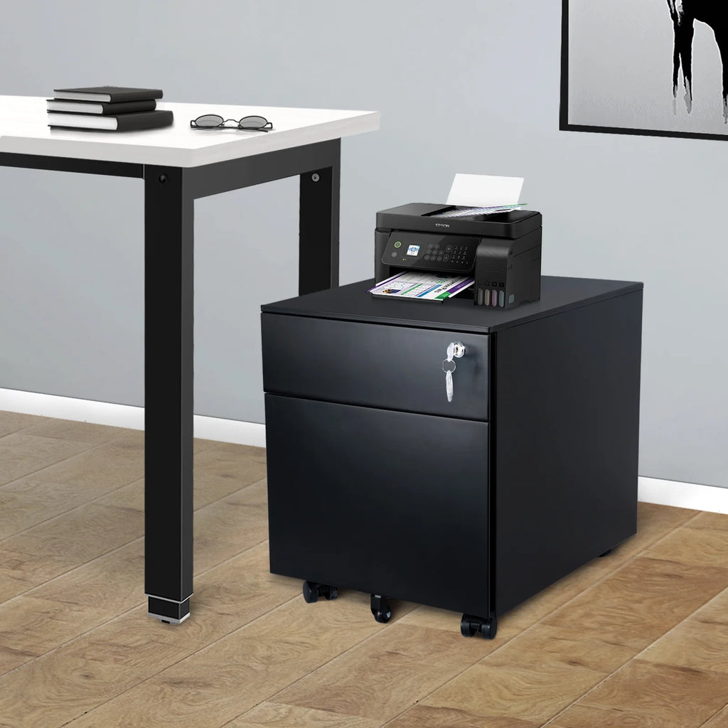 2-Drawer Mobile File Cabinet N790335