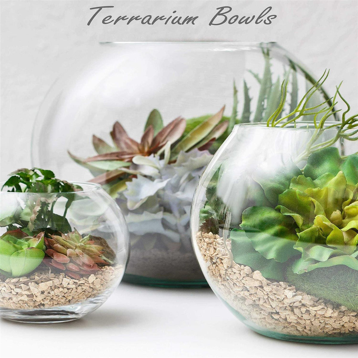 Glass Bubble Bowl Vase Y800