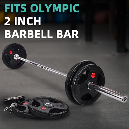 Cast Iron Weight Plates with Barbell Bar and Locks, 100 Pounds Set H1319
