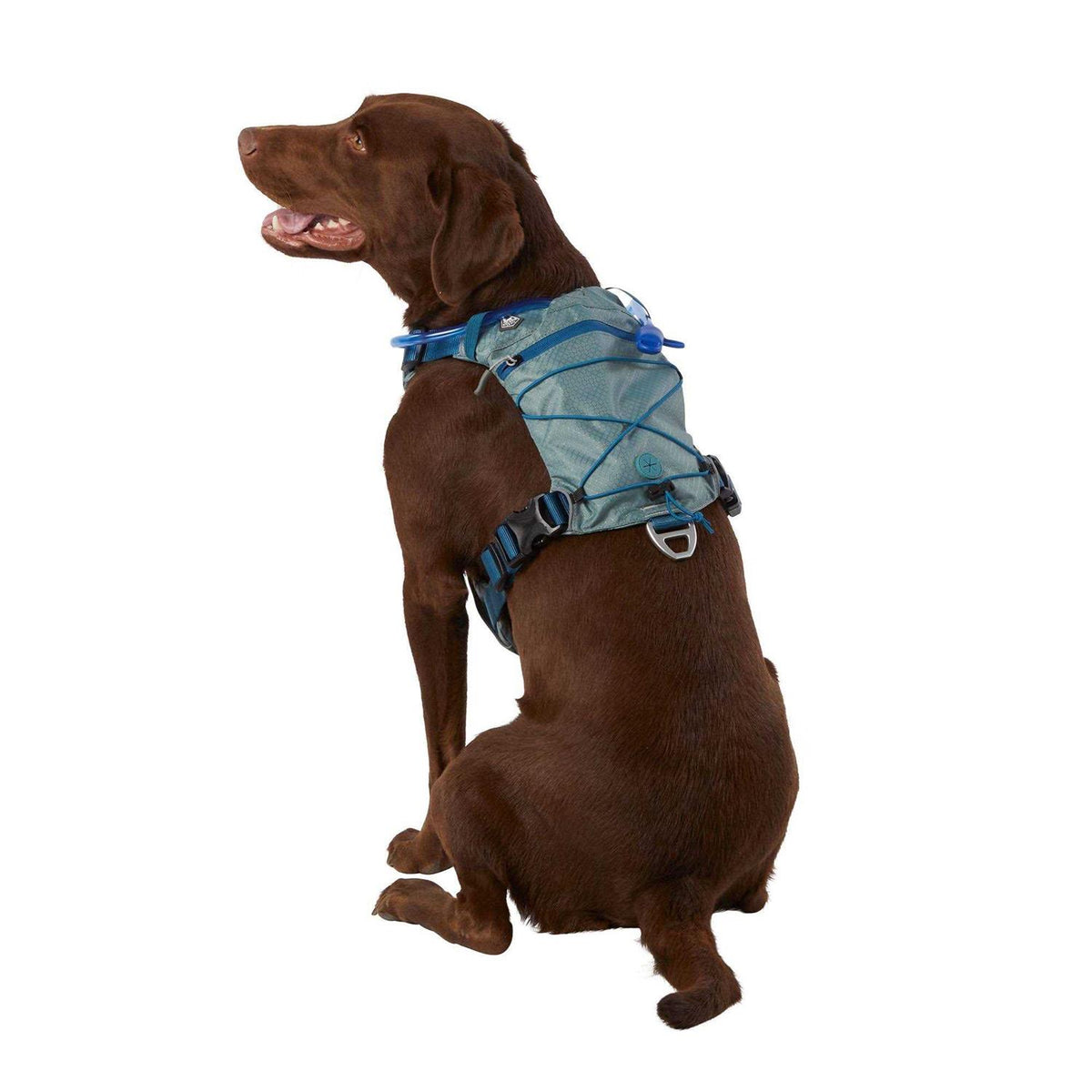 Dog Harness T83655
