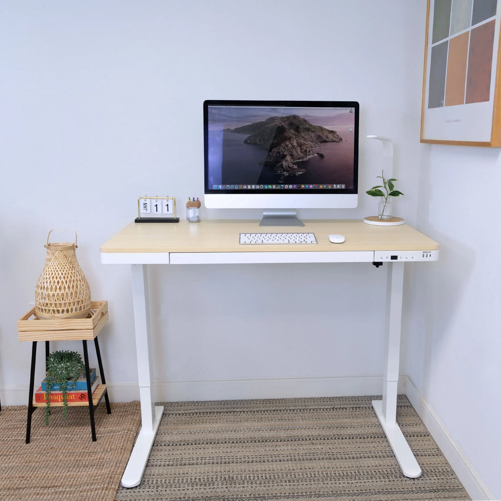 Height Adjustable Sit-Stand Desk with Drawer USB Hub Q989091