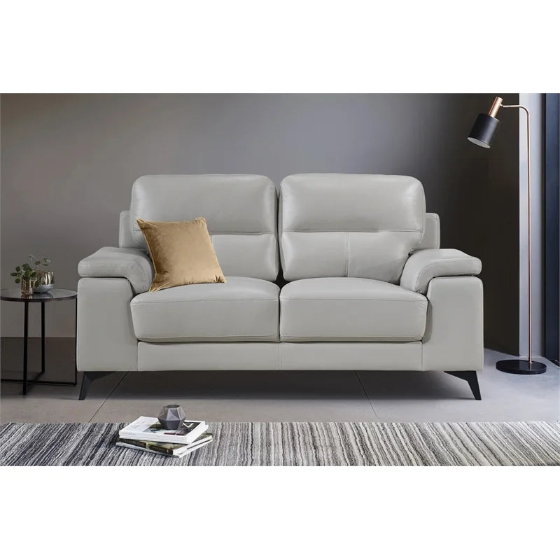 Silver Gray Leather 2-Piece Upholstered Sofa Set U483