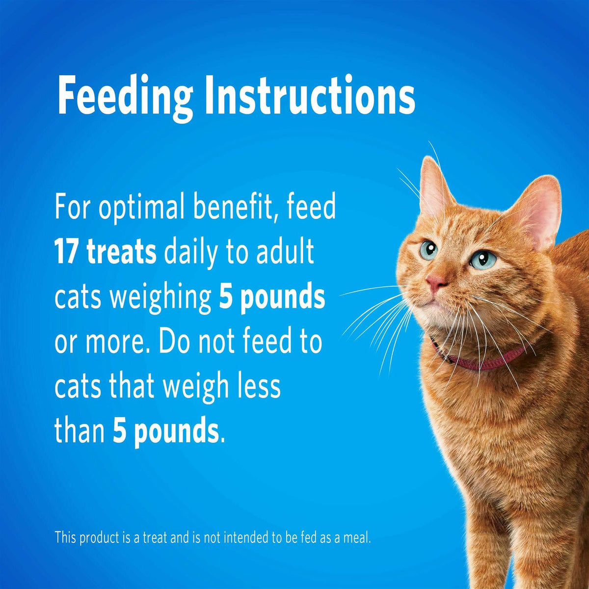 Cat Dental Treats M97987