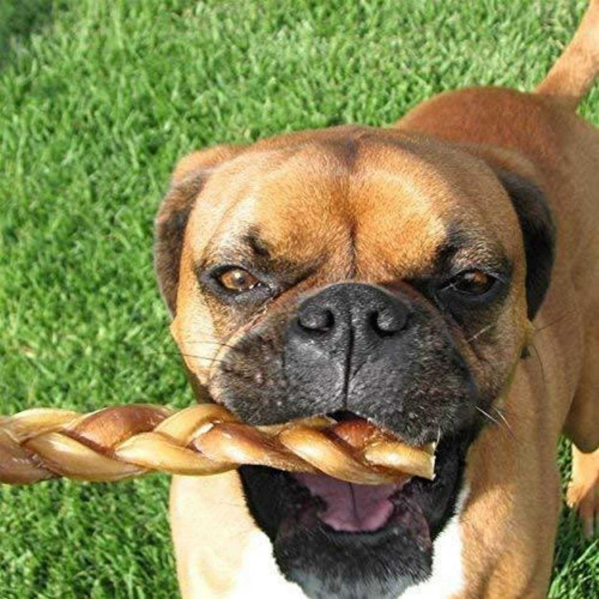 Braided Bully Sticks Dog Treats L95427