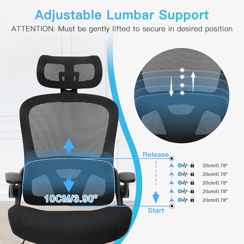 Black Ergonomic Mesh Office Chair with Lumbar Support V467