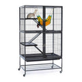 Ferret Home T3208
