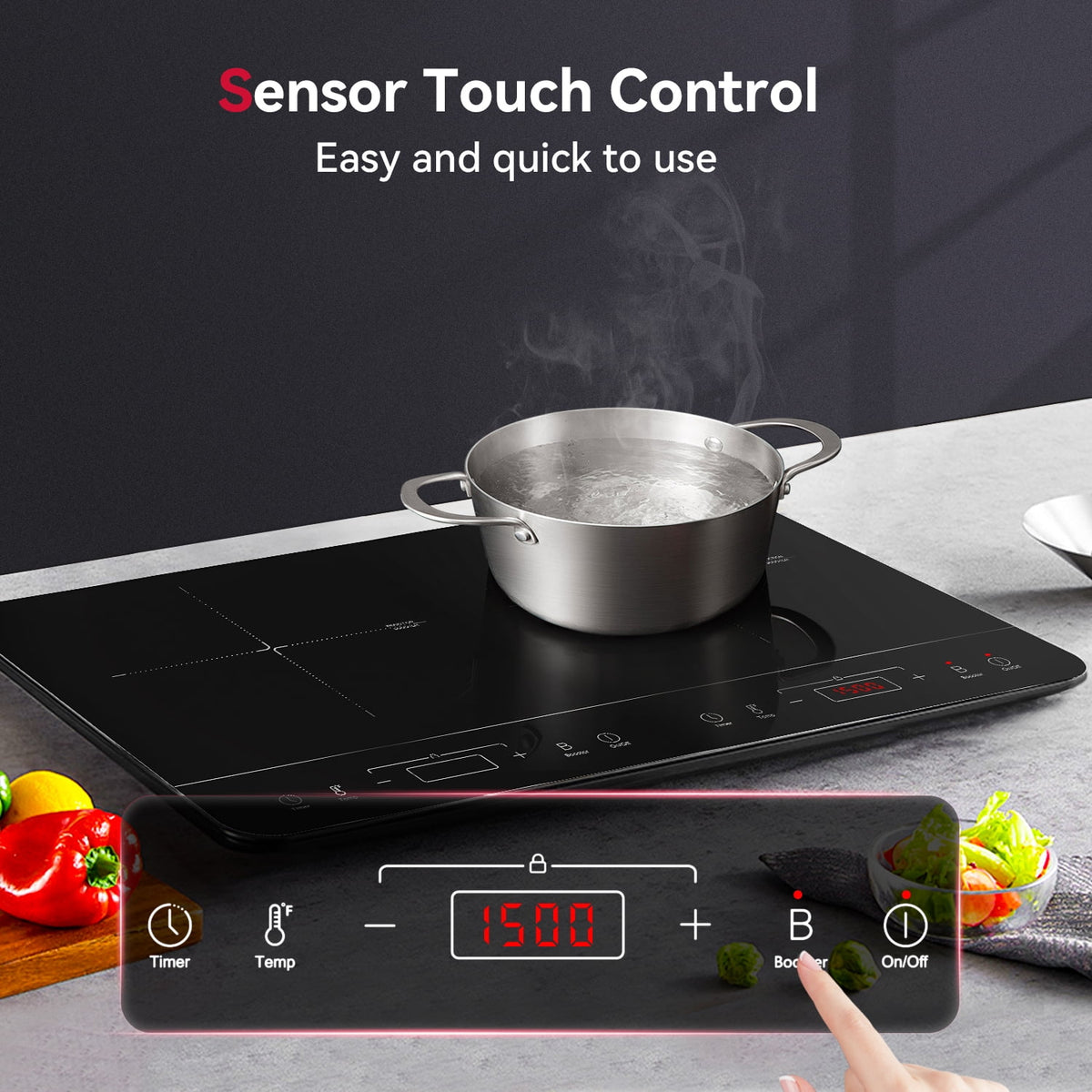 24 in. Portable 2 Elements Electric Induction Cooktop in Black I5727