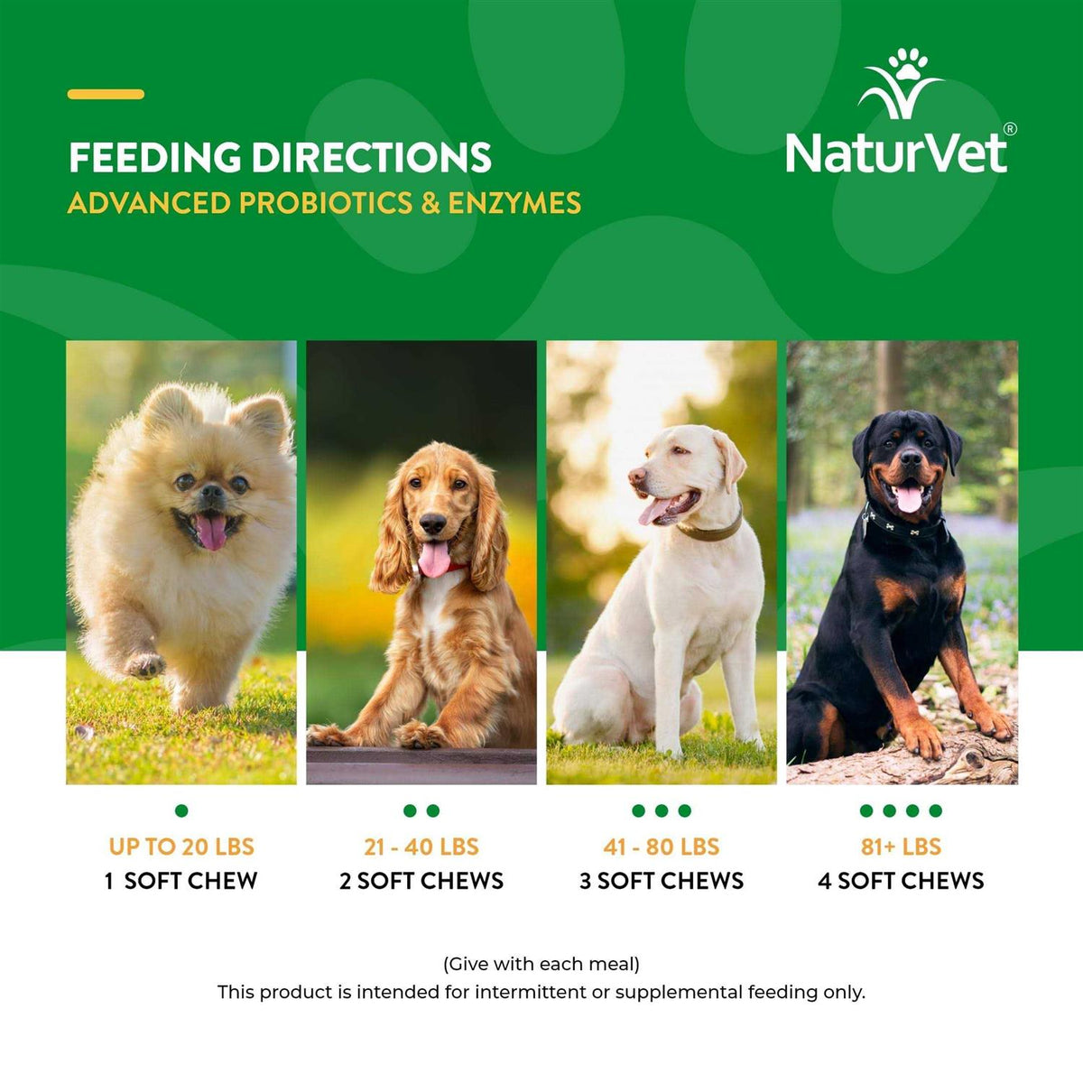 Probiotics & Enzymes Soft Chews E508