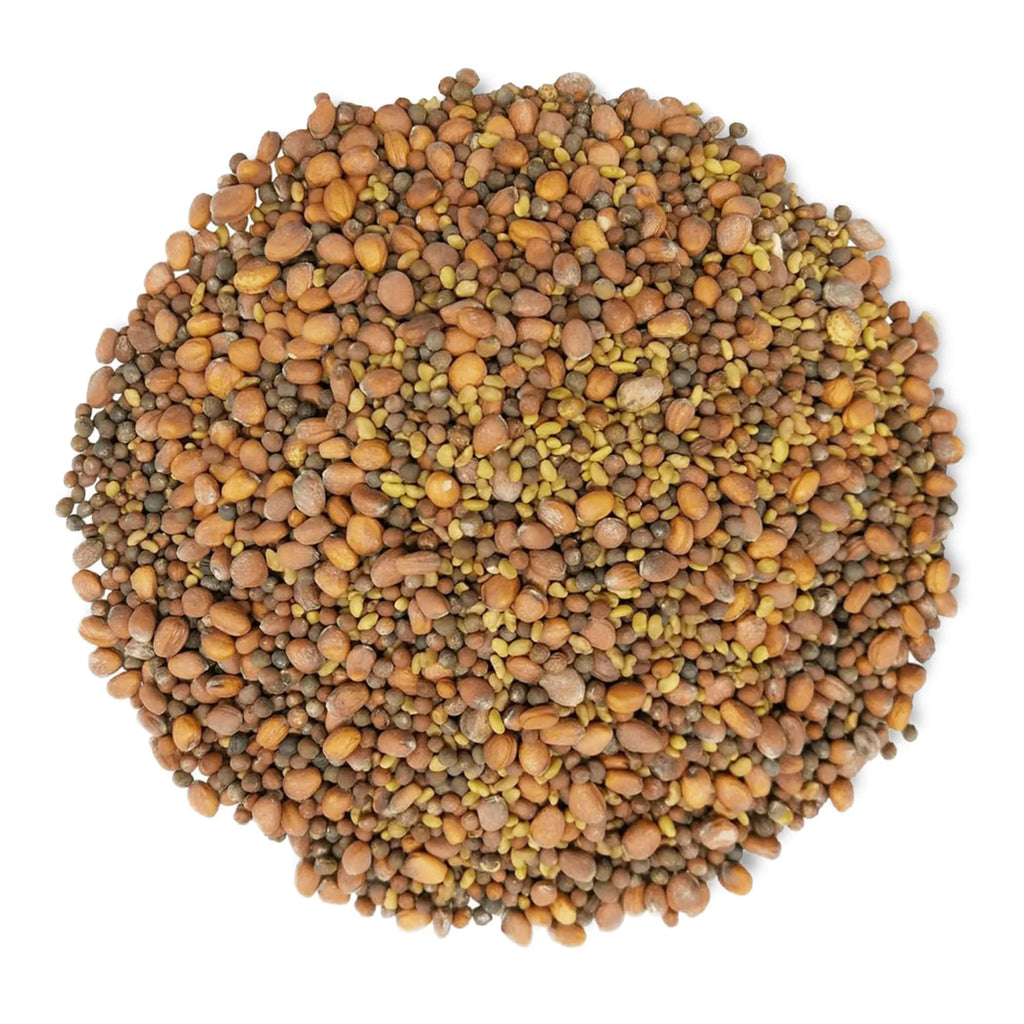 Sprouting Seeds 1 Pound V1278