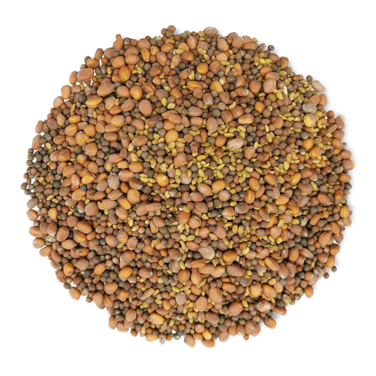 Sprouting Seeds 1 Pound V1278
