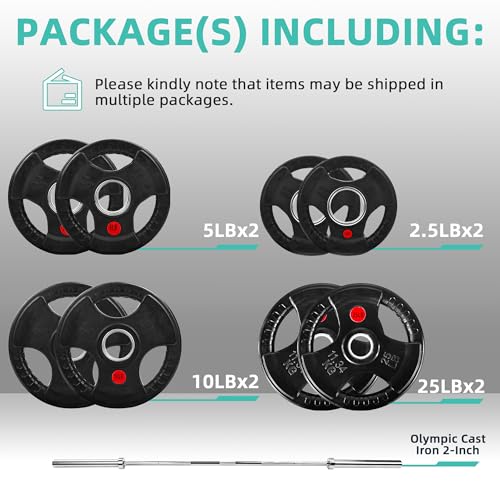 Cast Iron Weight Plates with Barbell Bar and Locks, 100 Pounds Set H1319
