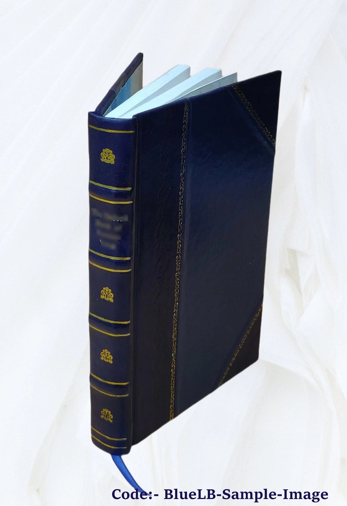 Leather Bound Tale of Real Life T216785