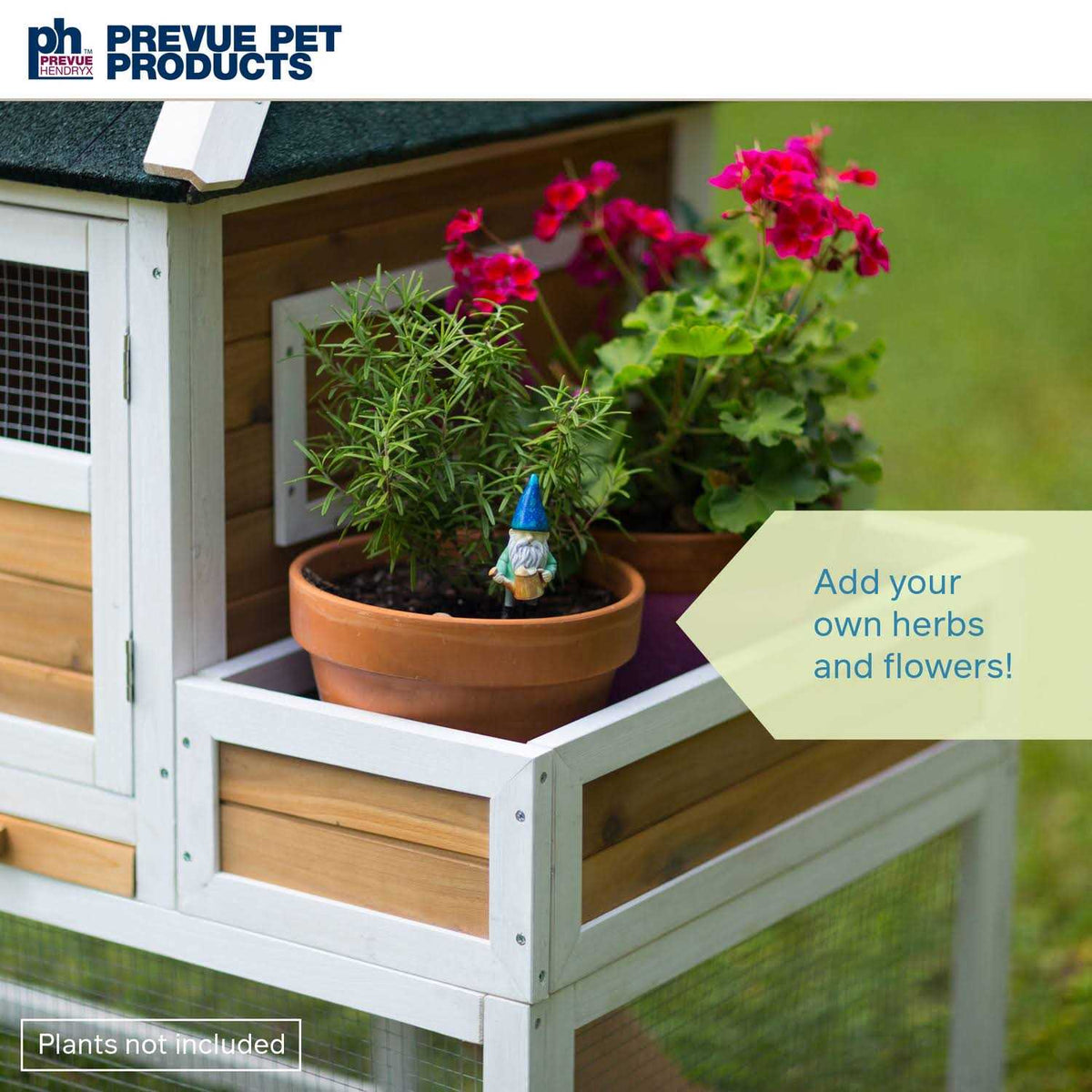 Chicken Coop with Herb Planter K676679