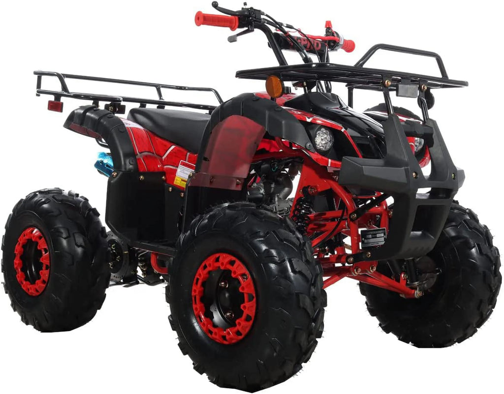 125cc Gas ATV Automatic Transmission with Reverse J924285