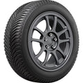 All Weather 245/55R19 107V XL Passenger Tire P492