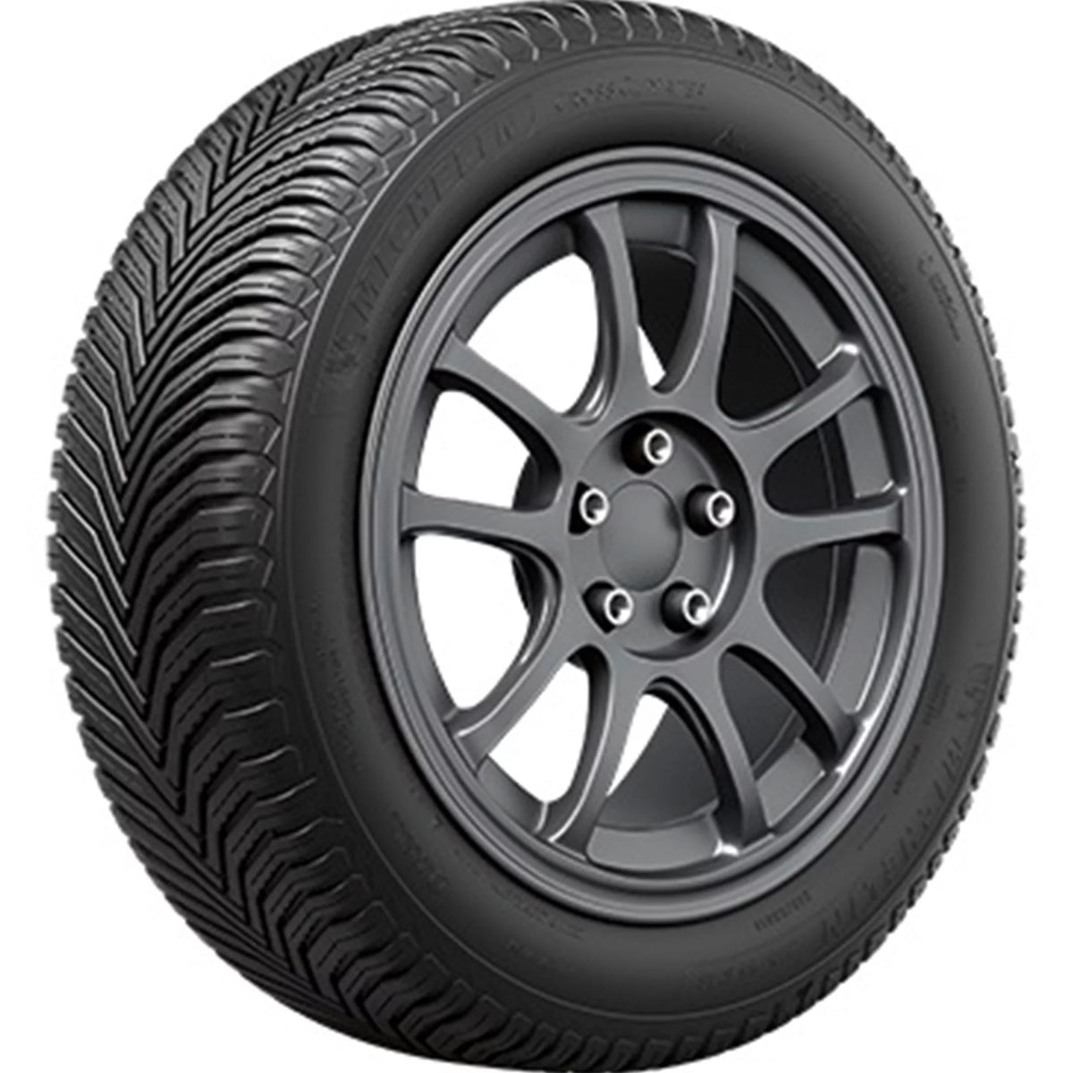 All Weather 245/55R19 107V XL Passenger Tire P492
