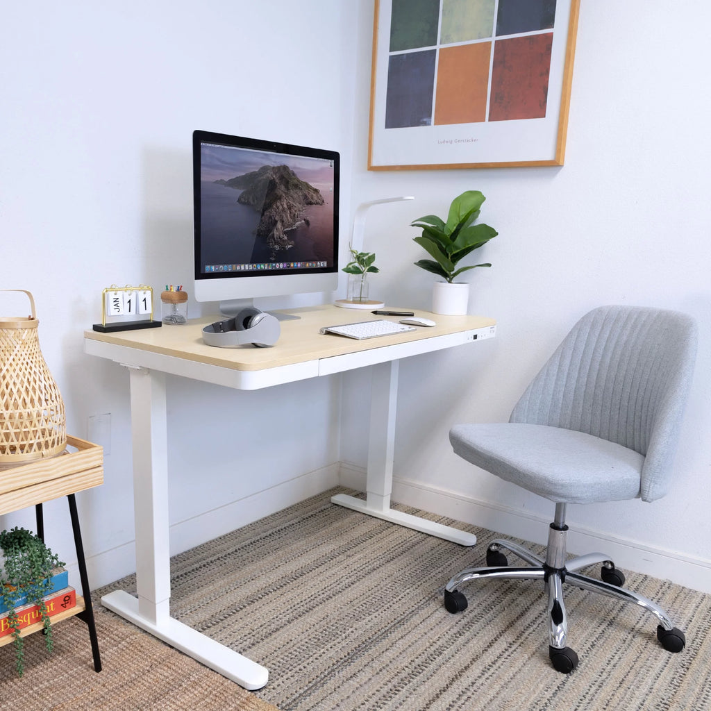 Height Adjustable Sit-Stand Desk with Drawer USB Hub Q989091