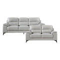 Silver Gray Leather 2-Piece Upholstered Sofa Set U483