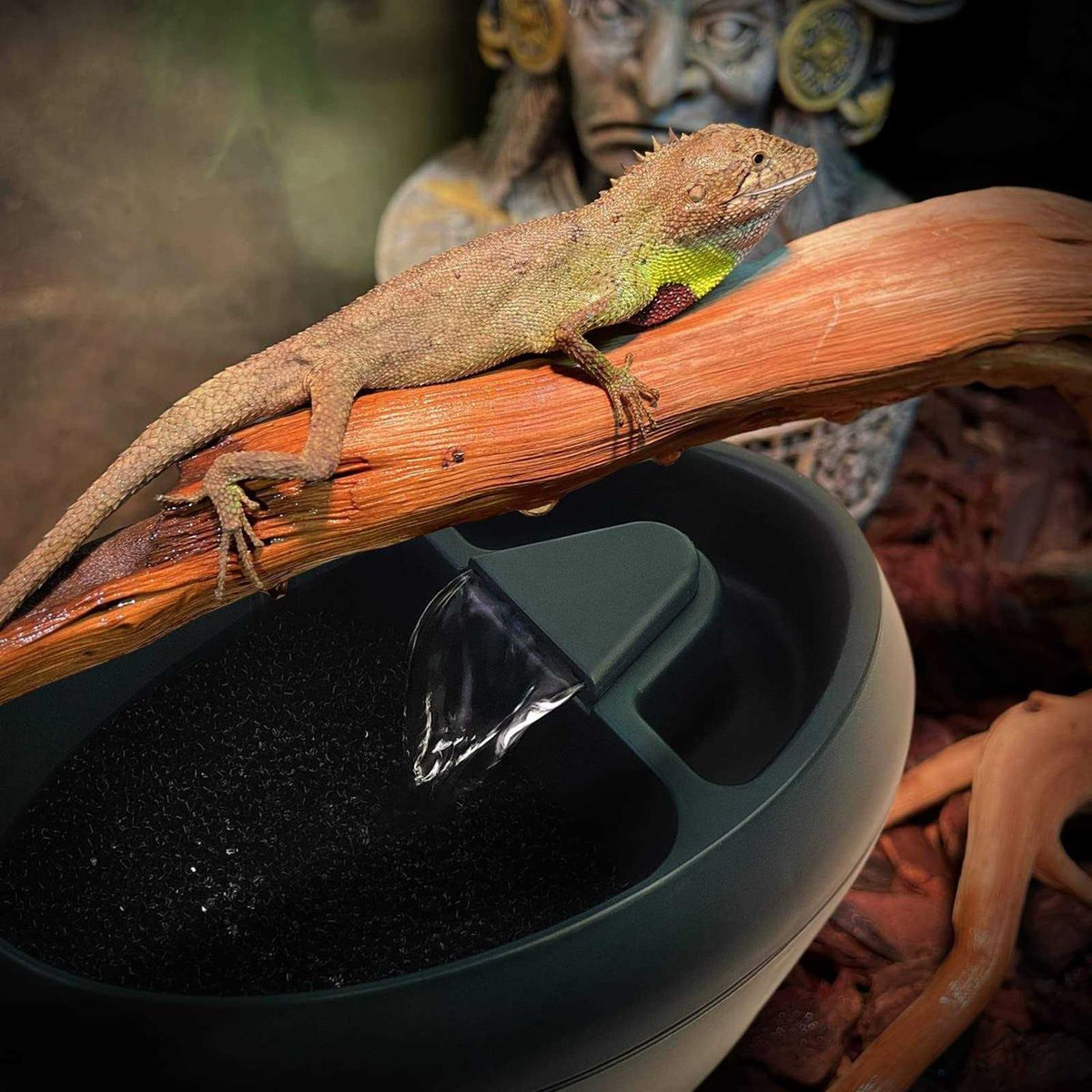 Reptile Drinking Water Fountain with Trough J710