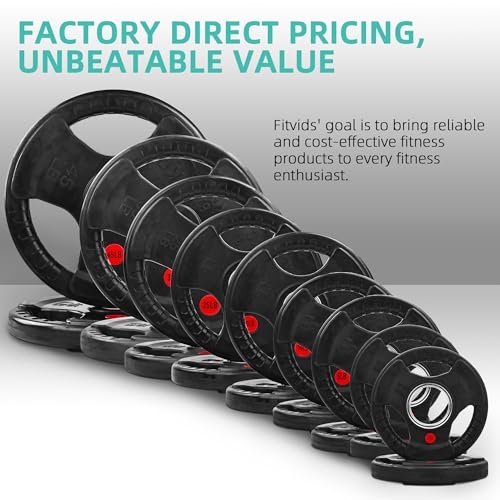 Cast Iron Weight Plates with Barbell Bar and Locks, 100 Pounds Set H1319
