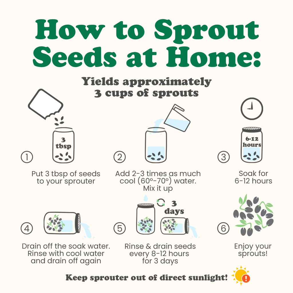 Sprouting Seeds 1 Pound V1278
