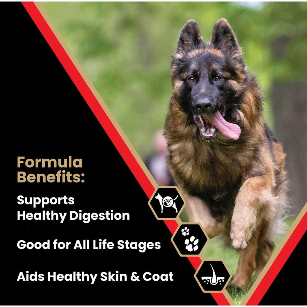 High Energy Dry Dog Food C4753