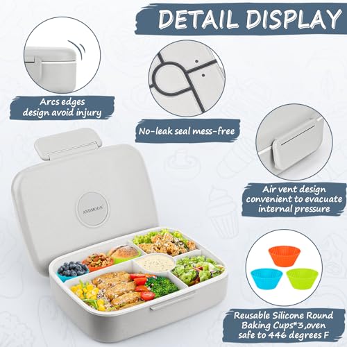 5 Compartment Insulated Bento Lunch Box C941