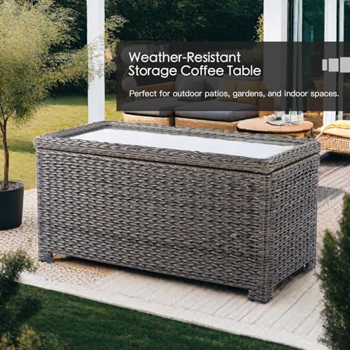 Brown Wicker Patio Coffee Table with Storage D665108