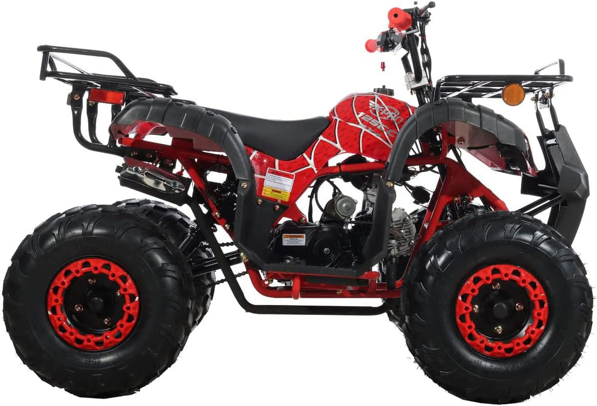125cc Gas ATV Automatic Transmission with Reverse J924285