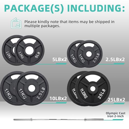 Cast Iron Weight Plates with Barbell Bar and Locks, 100 Pounds Set H1319