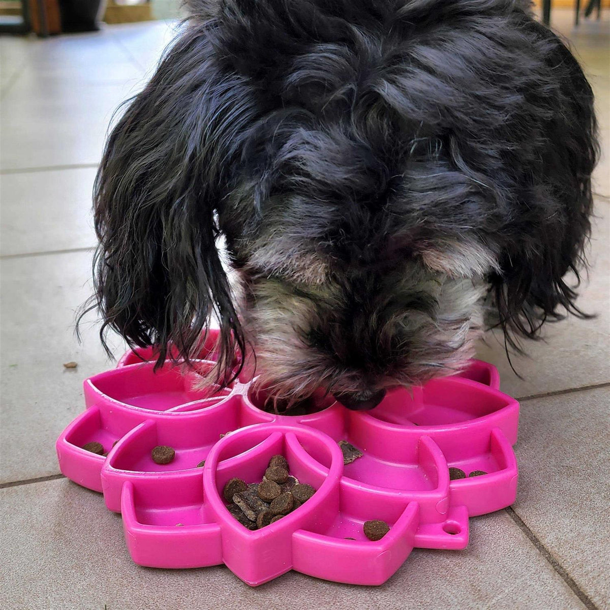 Mandala Design Enrichment Tray for Dogs R29774