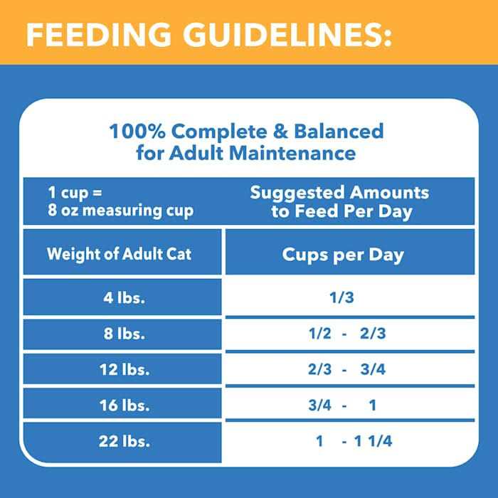 Chicken & Beef Dry Cat Food X396