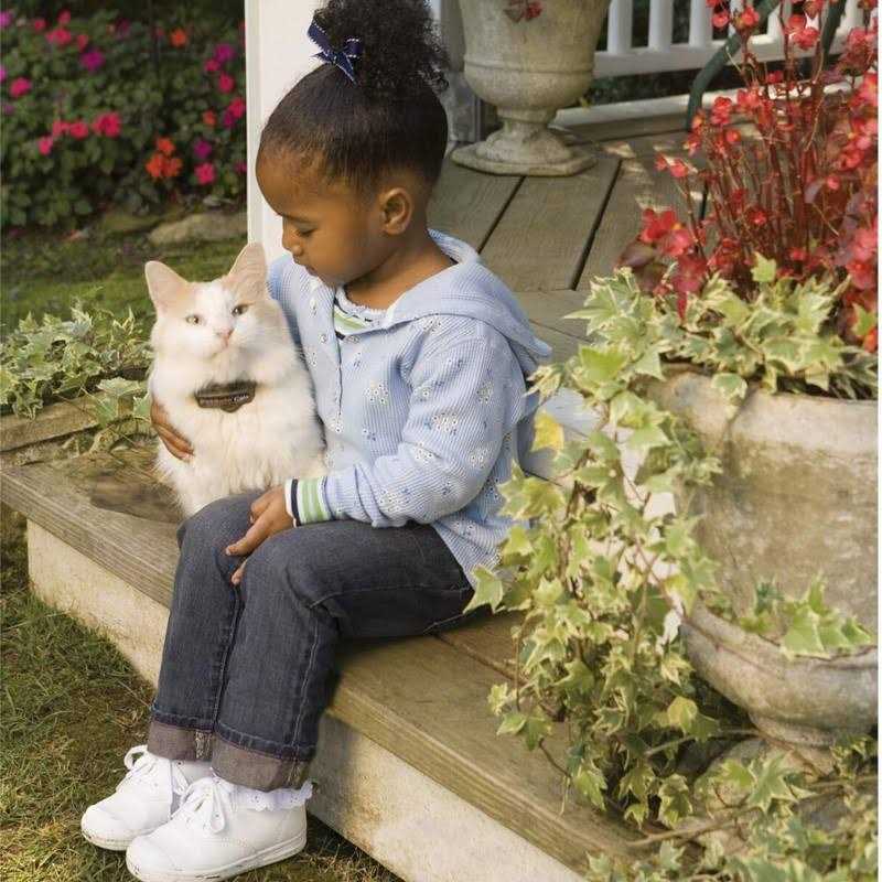 In-Ground Cat Fence Receiver Collar R414823