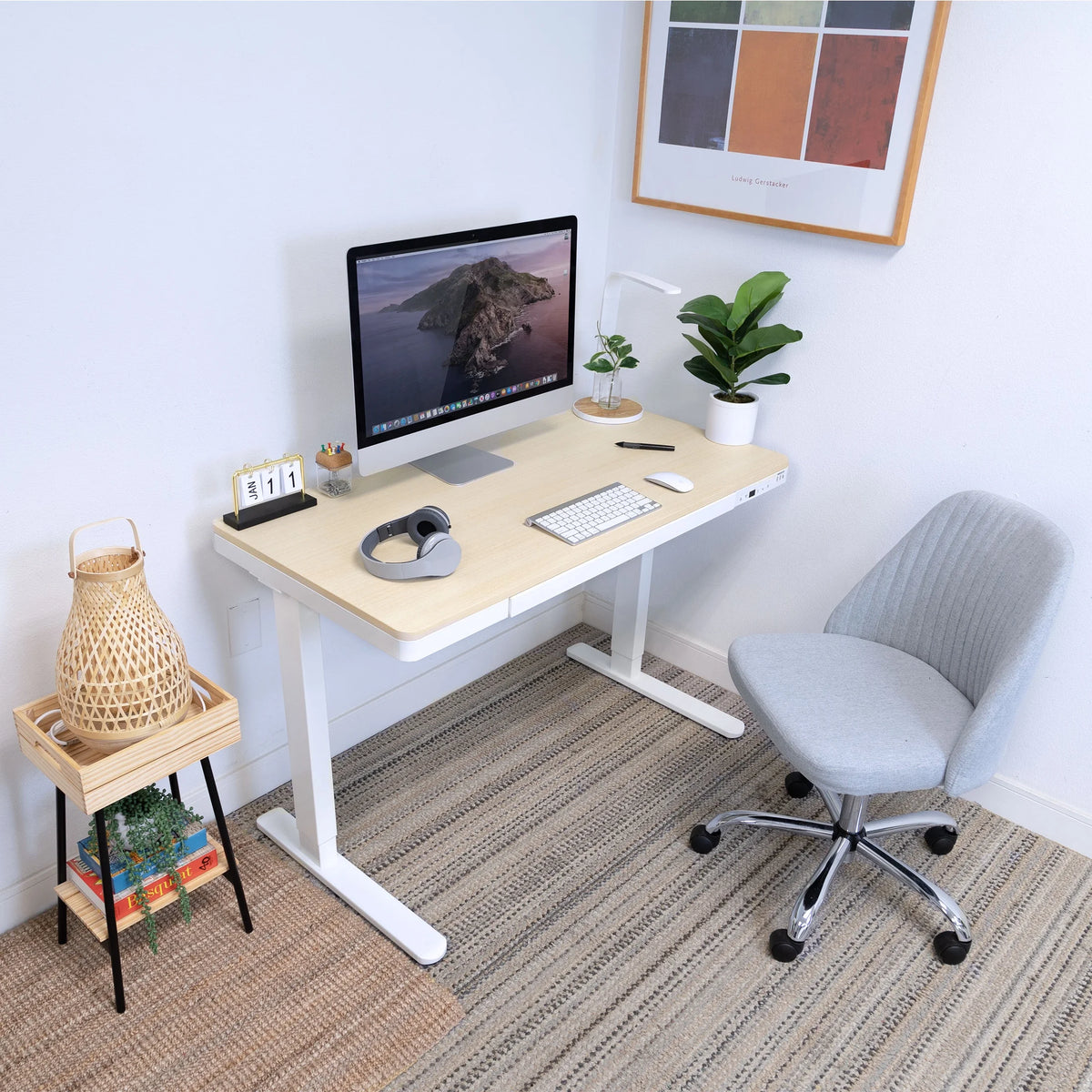 Height Adjustable Sit-Stand Desk with Drawer USB Hub Q989091