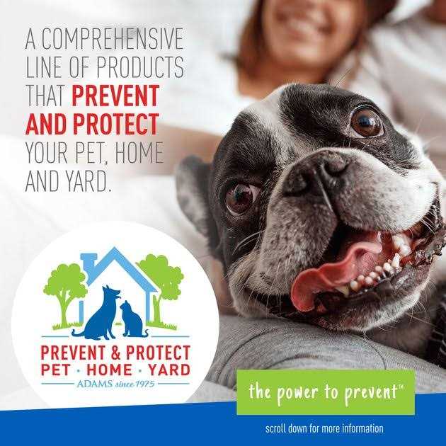 Foaming Flea And Tick Shampoo with Aloe And Cucumber G196