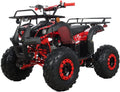 125cc Gas ATV Automatic Transmission with Reverse J924285