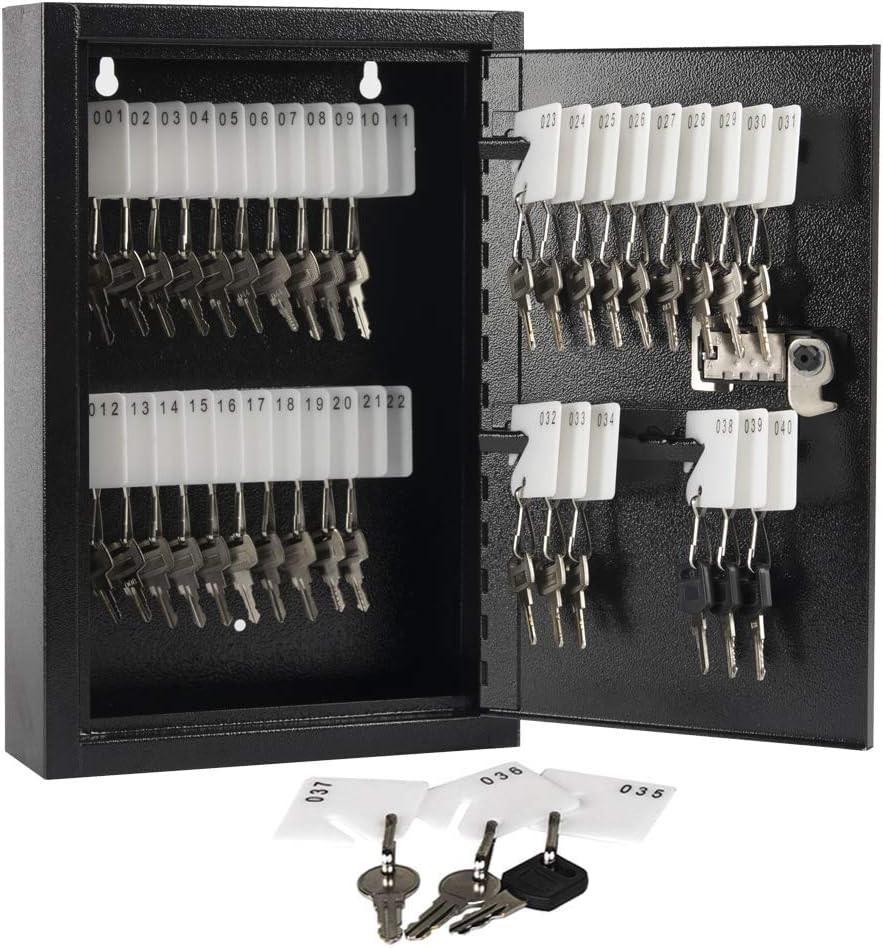 100 Keys Black Key Cabinet Organizer L515333