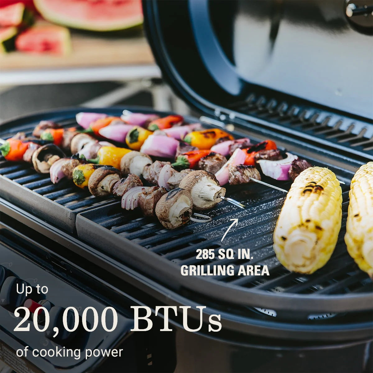 Standup Propane Gas Grill B74869