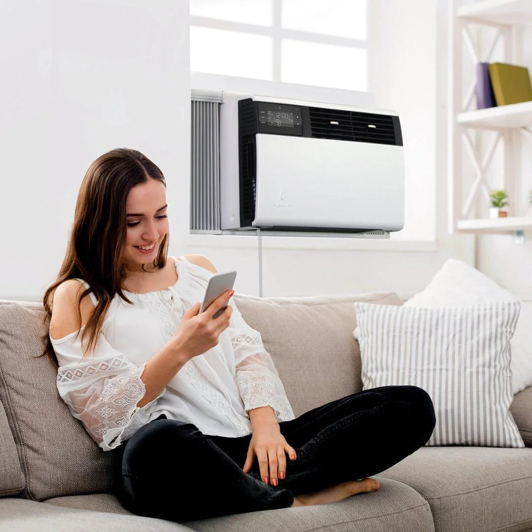 Window Air Conditioner T227336