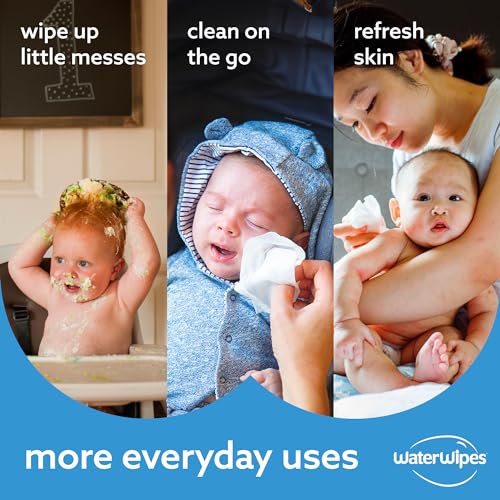 Plastic-Free Unscented Baby Wipes, 60 Count (Pack of 12) A101