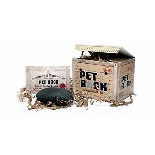 Pet Rock R88795