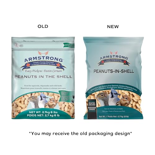 Peanuts-in-Shell, 10 Pounds J9716