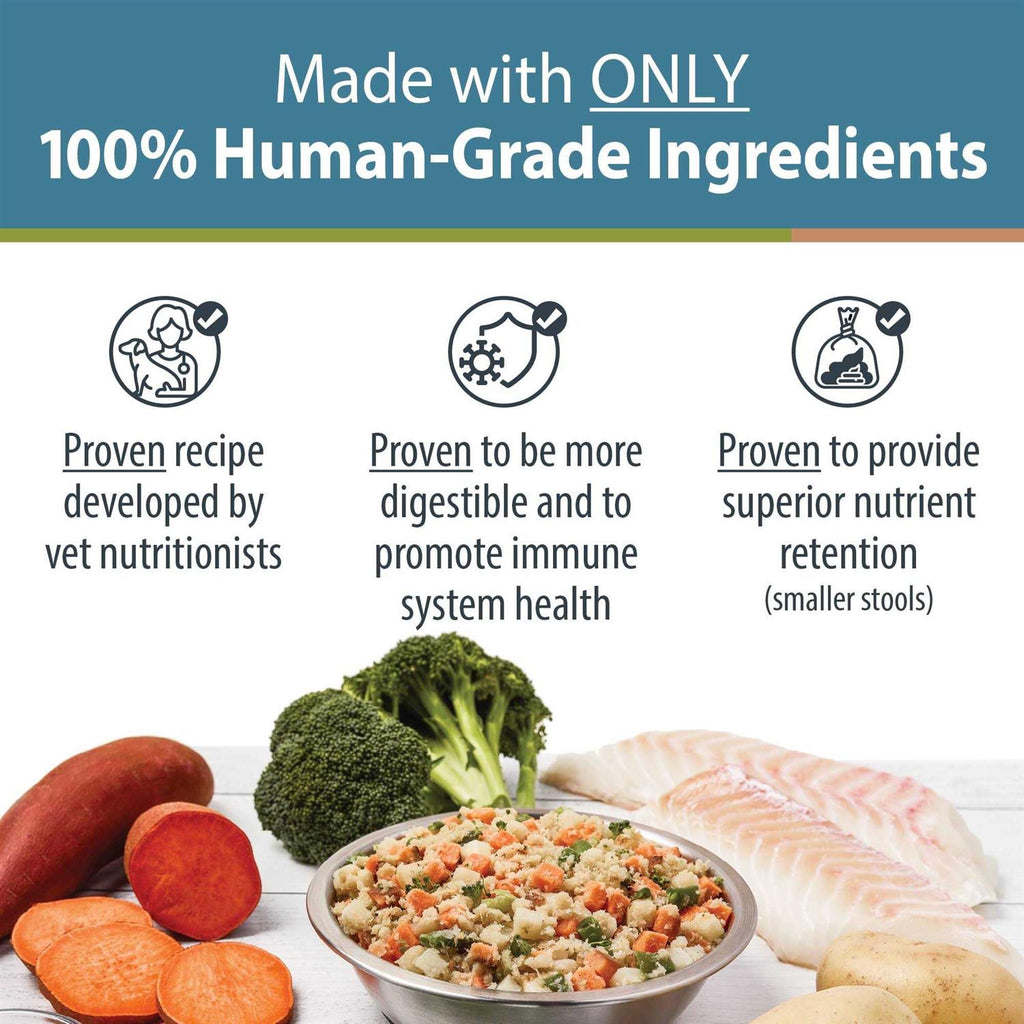 Frozen Fresh Dog Food Z969