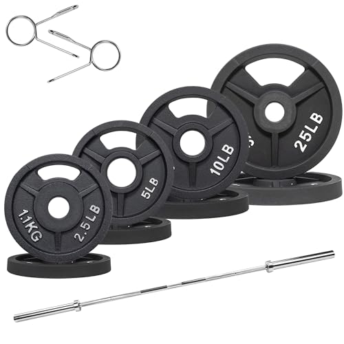 Cast Iron Weight Plates with Barbell Bar and Locks, 100 Pounds Set H1319