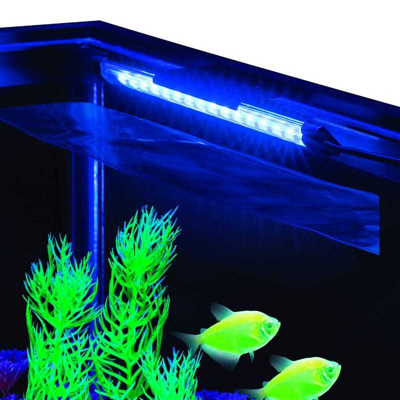Blue LED Light C441785