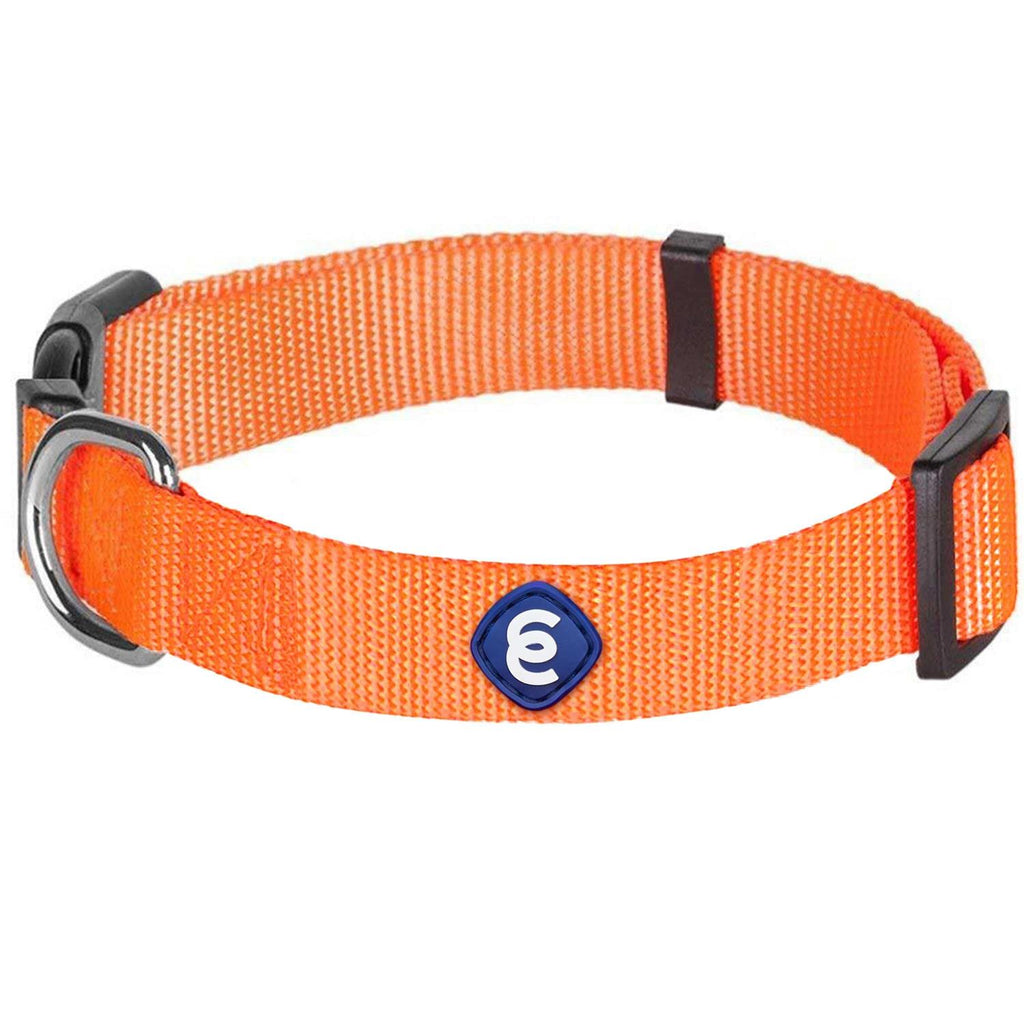 Classic Dog Collar V524