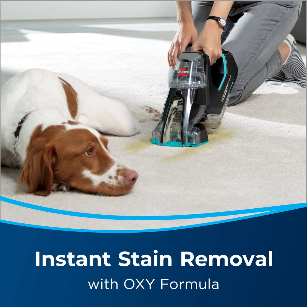 Portable Carpet Cleaner L78312