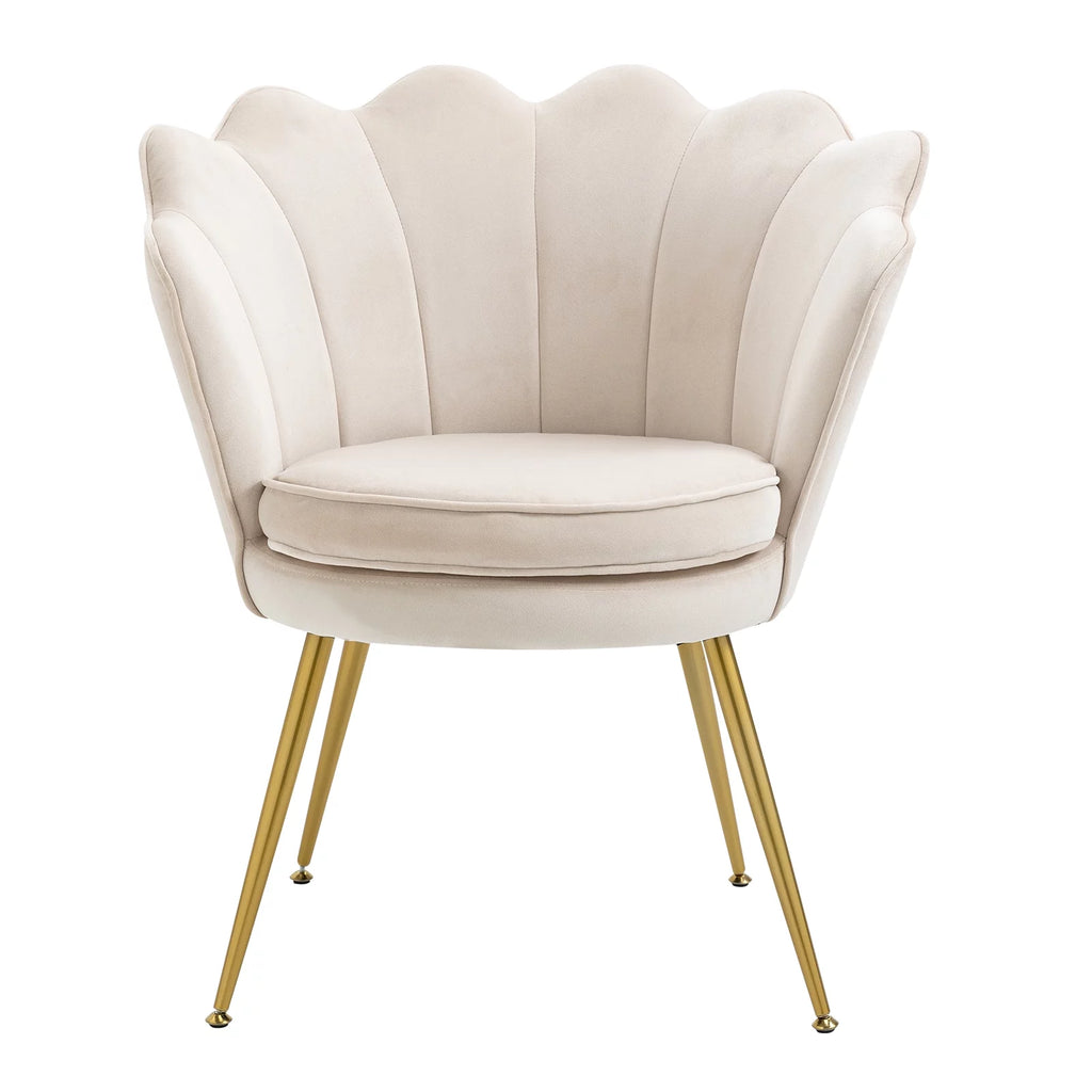 White Velvet Upholstered Arm Chair with Golden Metal Legs, Set of 2 B41342