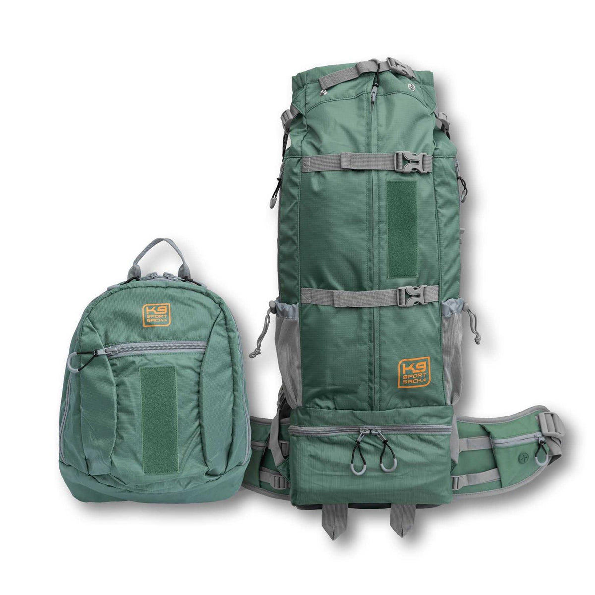 Dog Carrier N297749
