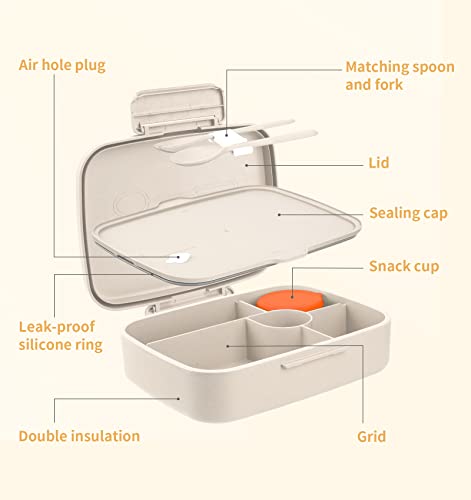 5 Compartment Insulated Bento Lunch Box C941